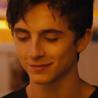 🙃 Timothée Chalamet актер, знаменитость, мужчина, портрет, лицо, Тимоти Шаламе whatsapp sticker