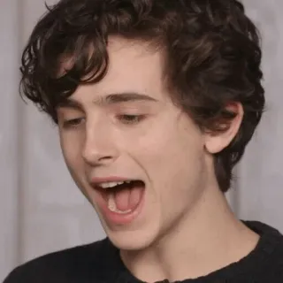 😦 Timothée Chalamet ator, celebridade, Timothée Chalamet, retrato telegram sticker