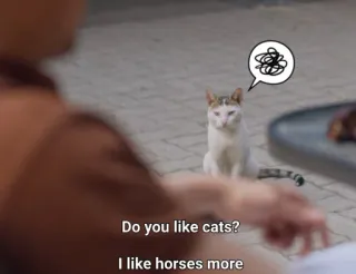 😾 Do you like cats?
I like horses more 猫, 馬, 動物, ペット, 質問, 好み, ユーモア telegram sticker