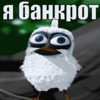 Больше стиков тут: @stikery4 telegram stickers