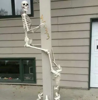 😜 esqueleto, halloween, casa, decoração, assustador, ossos telegram sticker