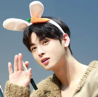 🍭 男性, うさ耳, ニンジン, 韓国, 有名人 telegram sticker