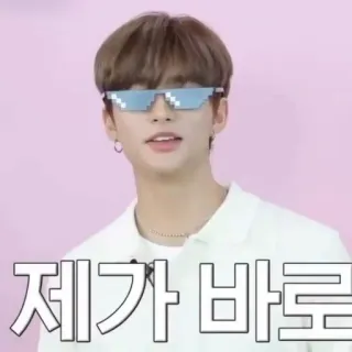 🍫 제가 바로 coreano, texto, óculos de sol whatsapp sticker