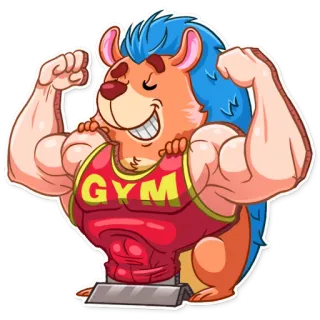 💪 GYM riccio, palestra, muscoli, fitness, cartoni animati, esercizio, allenamento telegram sticker