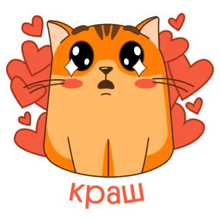 😍 краш кот, сердечки, милый, русский, любовь, стикер telegram sticker