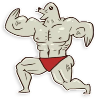 🌊 Seehund, Bodybuilder, Muskeln, Cartoon, Fitness telegram sticker