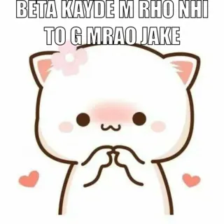 ⚜ BETA KAYDE M RHO NHI
TO G MRAO JAKE chat, kawaii, mignon, animal, dessin animé whatsapp sticker
