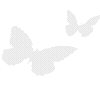 🦋