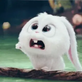 😮 Snowball The Secret Life of Pets conejo, blanco, animal, dibujo animado, gracioso, divertido telegram sticker