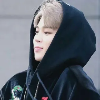 💎 Jimin kpop, jimin, ca sĩ, người nổi tiếng, áo hoodie, người telegram sticker