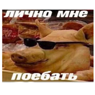 😎 ЛИЧНО МНЕ
ПОЕБАТЬ pig, sunglasses, russian, humor, meme telegram sticker