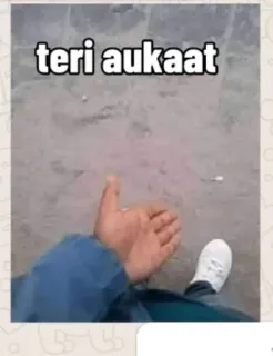 😊 teri aukaat whatsapp sticker