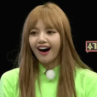 🌿 Lisa K-pop, cantora, mulher, celebridade, idol, Lisa, Blackpink telegram sticker