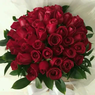 🌾 rose, fiori, bouquet, rose rosse, composizione floreale telegram sticker