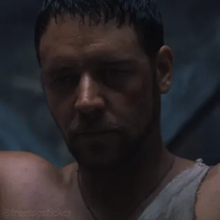 🤕 Maximus Decimus Meridius Gladiator Gladiator, Russell Crowe, movie, portrait, Maximus, film telegram sticker