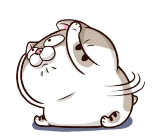 😊 고양이, 만화, 동물, 스티커, 귀여운, 웃긴 telegram sticker