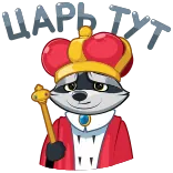🤴 raton laveur, roi, couronne, animal, royal, dessin animé telegram sticker