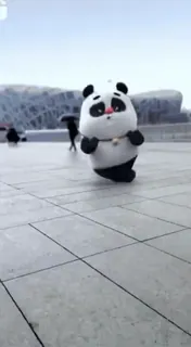 🌟 panda, cute, animated, animal, walking, outdoors telegram sticker