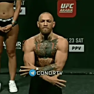 🦁 Conor McGregor UFC CONORTV Conor McGregor, UFC, fighting, boxing, athlete telegram sticker