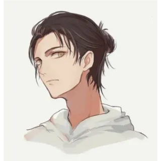 😒 Eren Yeager Attack on Titan อนิเมะ, ตัวละคร, ผ่าพิภพไททัน, เอเรน เยเกอร์, แฟนอาร์ต whatsapp sticker