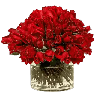 🌹 flower, roses, bouquet, red, romance whatsapp sticker