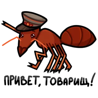 🔶 ПРИВЕТ, ТОВАРИЩ! semut, militer, salam, soviet, kartun, serangga, kawan whatsapp sticker