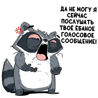 😤 ДА НЕ МОГУ Я СЕЙЧАС ПОСЛУШАТЬ ТВОЕ ЕБАНОЕ ГОЛОСОВОЕ СООБЩЕНИЕ! rakun, kesal, pesan, kata kasar, marah, kartun, binatang, bahasa gaul whatsapp sticker