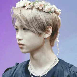 ➖ Felix kpop, idol, cantante, felix, stray kids, corona di fiori, capelli biondi telegram sticker