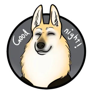 😴 Good night! anjing, selamat malam, mengantuk, binatang, hewan peliharaan, imut telegram sticker