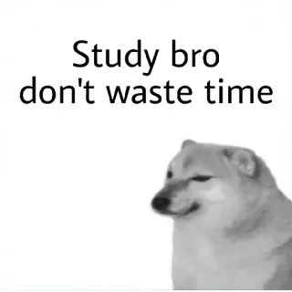 🙂 Cheems Doge Study bro don't waste time cheems, study, motivation, doge, advice, meme, dog telegram sticker