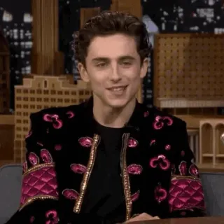 📯 Timothée Chalamet acteur, célébrité, sourire, portrait, homme, Timothée Chalamet telegram sticker