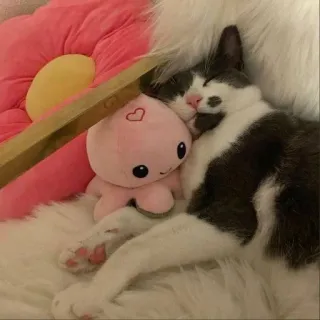 😴 고양이, 봉제인형, 문어, 잠자는, 귀여운, 새끼 고양이, 애완 동물 telegram sticker