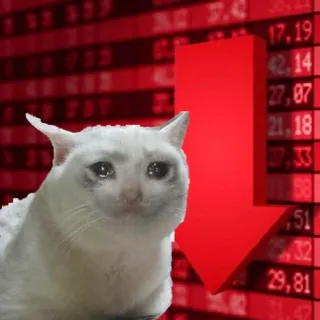 📉 bolsa, pérdida, gato, meme, finanzas, triste, flecha abajo telegram sticker