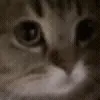 @stjckers ممبر کانال/گروه/فالور👉🏼 @Majazinoobot telegram emojis 😞