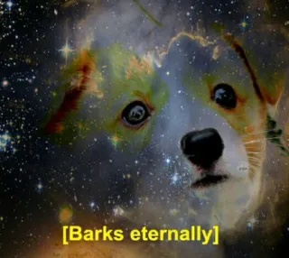 🙂 [Barks eternally] perro, espacio, galaxia, eternamente, ladra telegram sticker