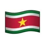 🇸🇷