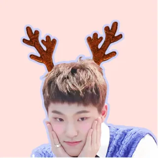 HoshiKwon whatsapp stickers