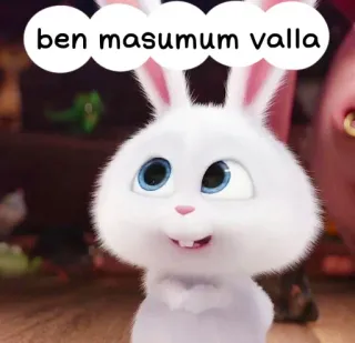 😁 ben masumum valla 토끼, 귀여운, 동물, 순수한 whatsapp sticker