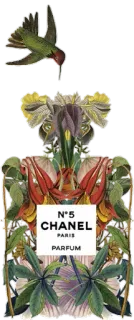 💄 N°5
CHANEL
PARIS
PARFUM духи, Chanel, аромат, цветочный, колибри, винтаж, люкс telegram sticker