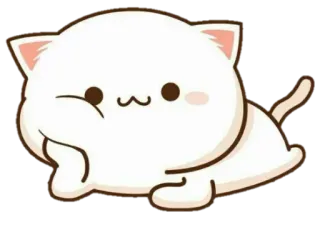 ☺️ kot, kawaii, słodki, zwierzę, naklejka whatsapp sticker