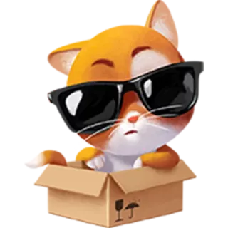😎 gato, gatito, gafas de sol, caja, guay, animal, mascota telegram sticker