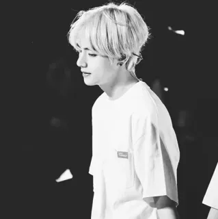 🎬 V K팝, BTS, 가수, 연예인, 음악, 아이돌 telegram sticker