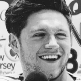 🎸 Niall Horan Niall Horan, One Direction, cantor, celebridade telegram sticker