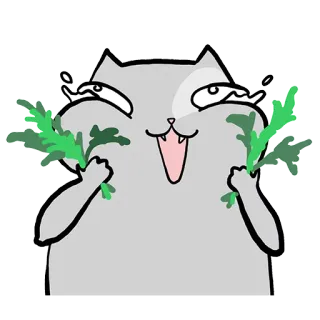 😃 gatto, animale, meme, cartone animato, mangiare, divertente, felice telegram sticker