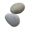 🐚