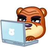 👨💻 urso, computador, laptop, animal, desenho animado telegram sticker