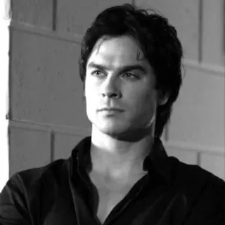 © Damon Salvatore The Vampire Diaries Damon Salvatore, The Vampire Diaries, Ian Somerhalder, Vampir, Serial TV, Potret whatsapp sticker