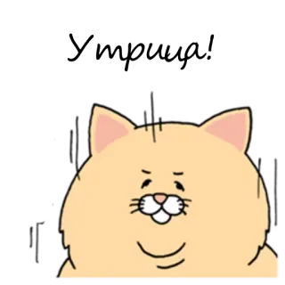🌞 cat, animal, cute, pet, kitten, cartoon telegram sticker