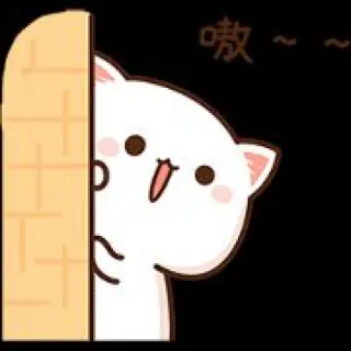 🥰 嗷～～～ gato, fofo, espiar, escondido, kawaii, animal, adesivo whatsapp sticker