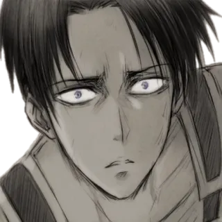 😳 Levi Ackerman Attack on Titan anime, manga, levi, attack on titan, character, aot telegram sticker